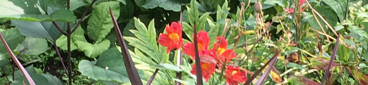 SUCCESSION PLANNING: UK citizens not discussing inheritance with their families |&nbsp;STEP